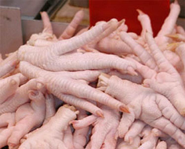 Frozen Chicken Feet by Annlin Impex, frozen chicken feet South Africa