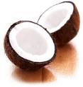 GK coconut