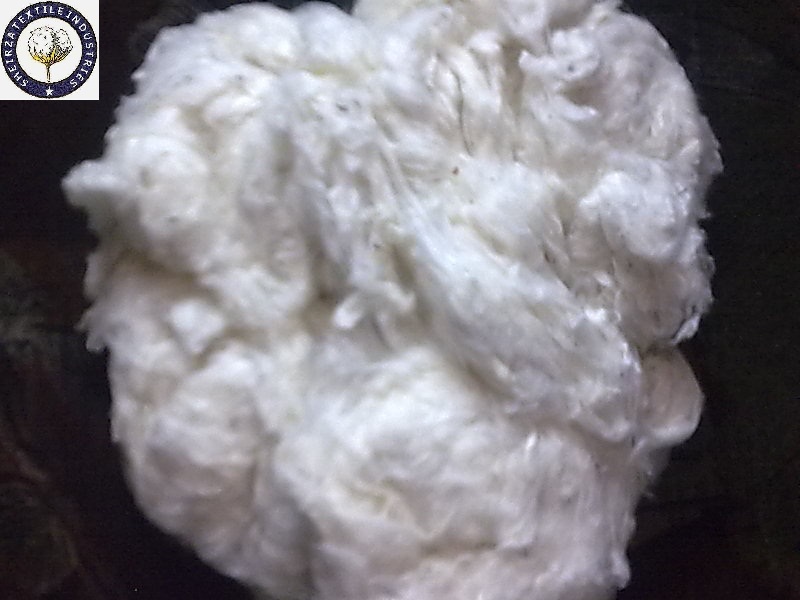 raw cotton