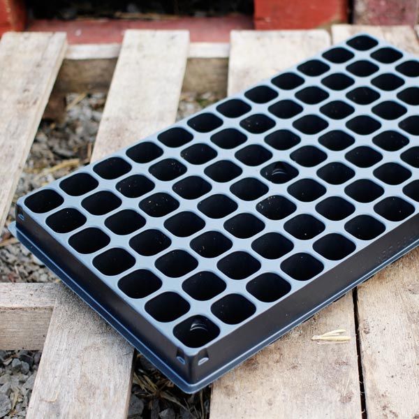 Plastic Seed Trays at Best Price in Pune ID 1306616 Jai Ganesha