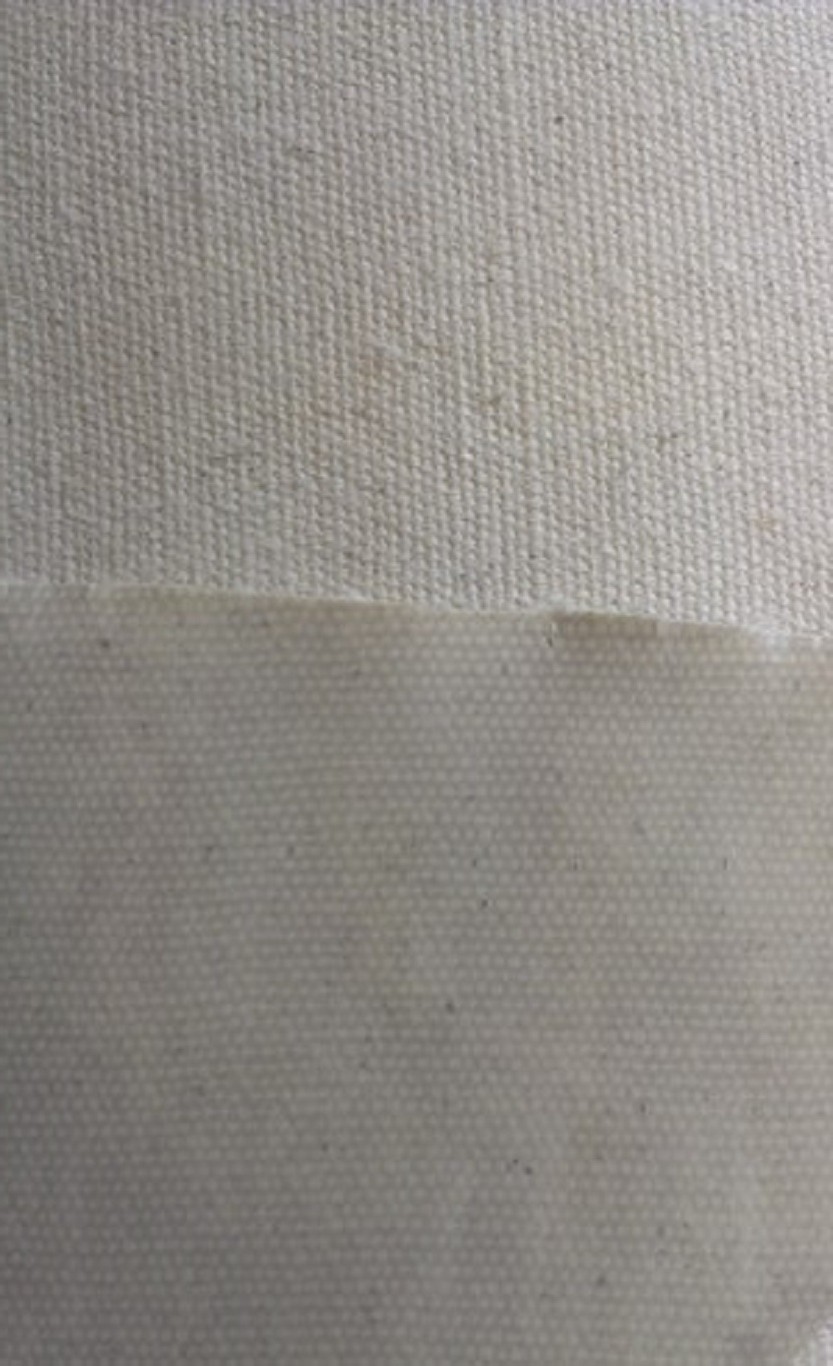 Single Layer Ldpe Laminated Canvas Cloth