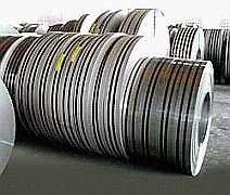 Stainless Steel Strips