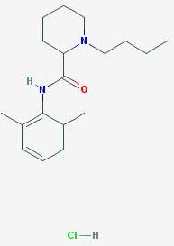 Bupivacaine Hydrochloride Usp