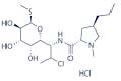 Clindamycin hydrochloride powder, Packaging Size : 25 kg