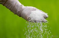 Chemical Fertilizers