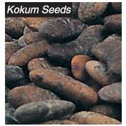 Kokum Seeds