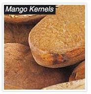 Mango Kernel
