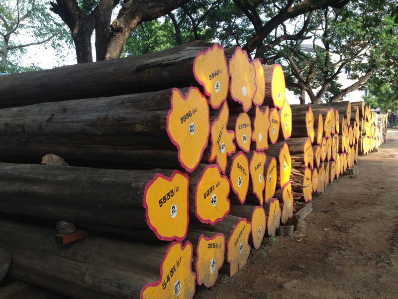 Products Burma Teak Wood Manufacturer in Tamil Nadu India by Sri
