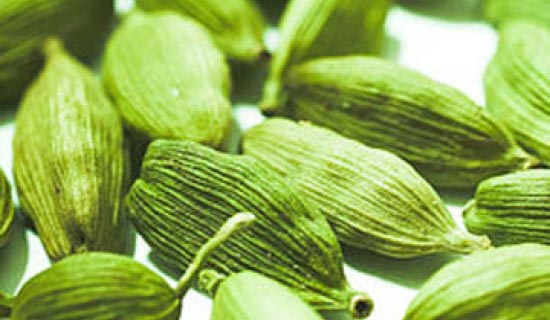 green cardamom