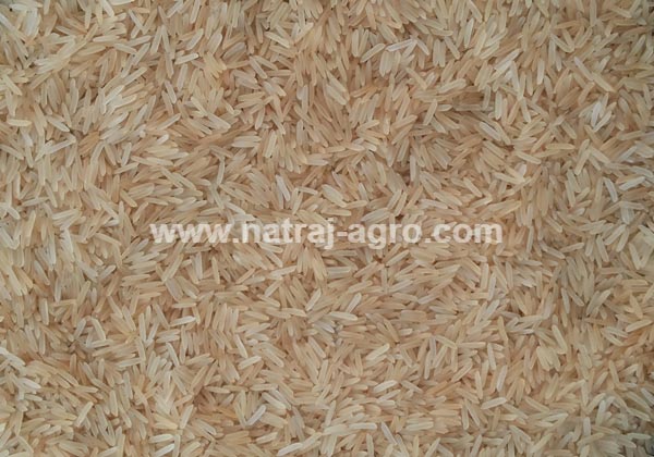 1509 Pusa Basmati Golden Sella Rice