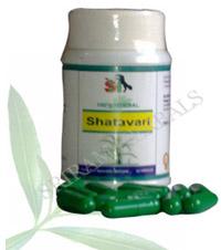 Shatavari Infertility Medicine