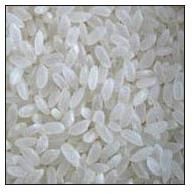 Camolino Rice Buy Camolino Rice for best price at USD 650 / 675 Metric ...