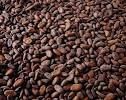 cocoa beans