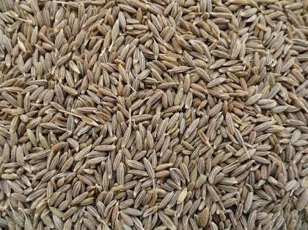 Cumin seeds