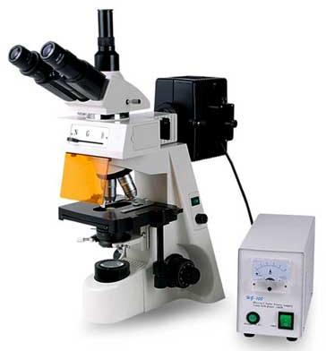 FLR-301 Epifluorescent microscope, Color : Z-Black