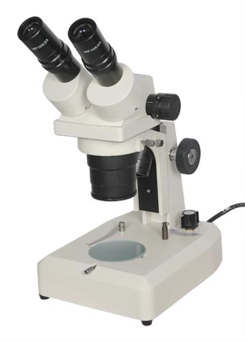 Advanced Zoom Microscopy Solutions