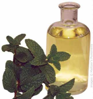 peppermint oil