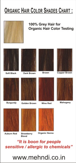 Buy Radico Hair Color 100g Brown Online at Low Prices in India  Amazonin