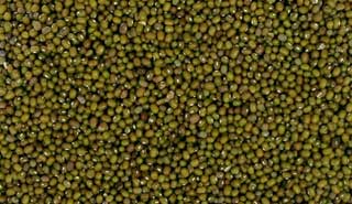 Whole Green Moong Lentils