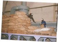 Sun Dried Cocoa Beans