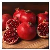 Fresh pomegranate