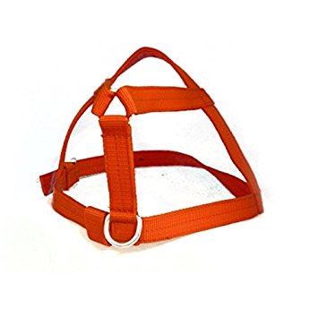 Leather Dog Body Belt, Feature : Stretchable
