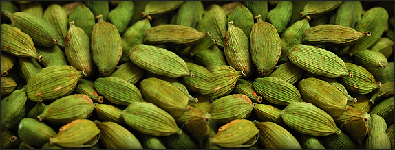 Indian Green Cardamom