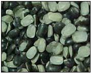 Split Black Matpe Beans
