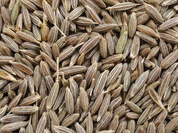 cumin seeds