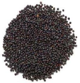 black mustard seeds