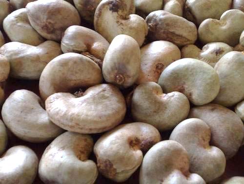 Common raw cashew nuts, for Food, Foodstuff, Snacks, Packaging Type : Pouch, Pp Bag, Sachet Bag