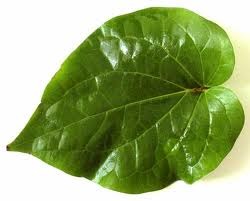 Betel Leaves, Color : Black green