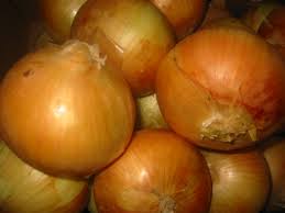 Fresh Onions, Color : Yellow, Red
