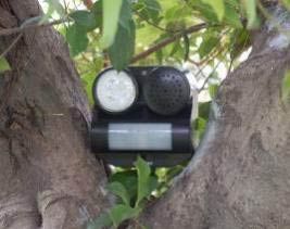 Sound and Light Bird Repeller