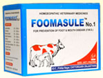 Foomashule No-1