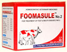 Foomashule No-2