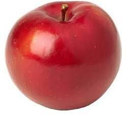 fresh apple