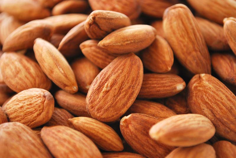 High Quality Organic Almond Nuts
