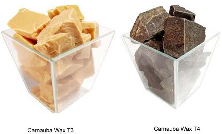 Carnauba Wax