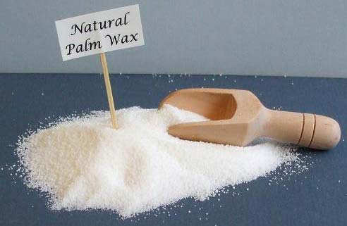 palm wax