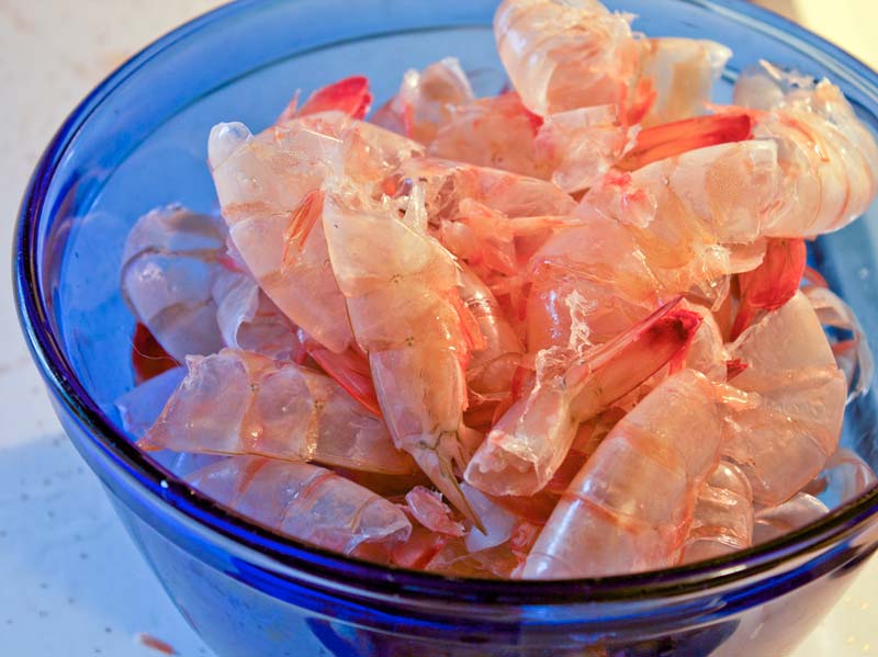 Fresh Shrimp Shells