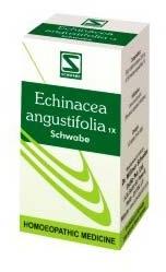 Echinacea angustifolia 1X