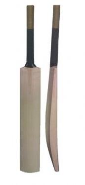 cricket bat