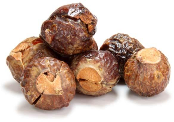 Soap Nuts