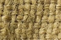 Jute Fiber