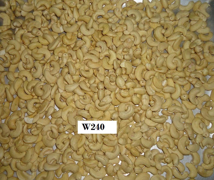 Cashew nut W240