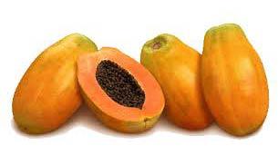 Fresh Papaya