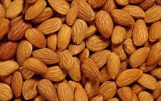 Betel Nuts,Almond Nuts,Cashew Nuts,Nuts
