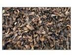 High Quality Palm Kernel Shells