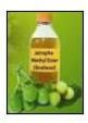 Jatropha Oil